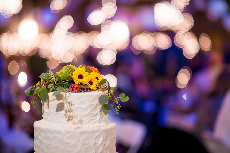Nashville-Indiana-Brown-County-Wedding-Photography-Julianna-Levi-10 colorful, bright, artsy photo of wedding cake in Brown County, Indiana