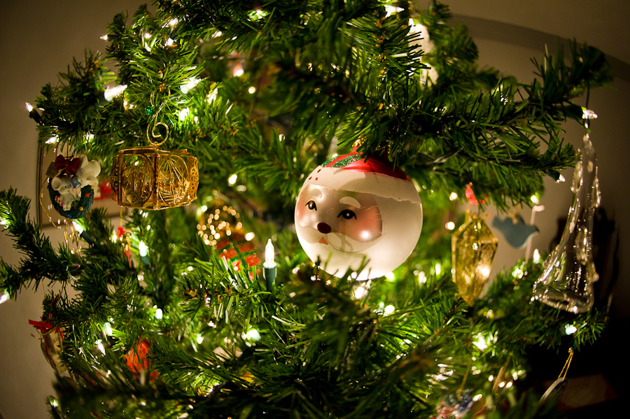 ChristmasFisheye-001