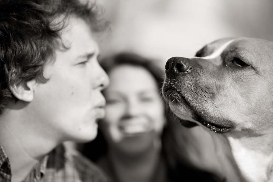 Funny Dog Engagement Picture