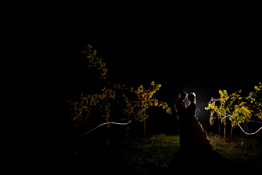 Shari-Ian-Cooper-Vineyards-Wedding-Sneak-Peek-1 vineyard nighttime wedding portrait