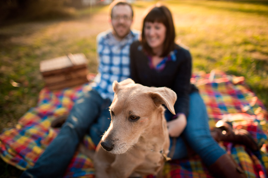 Hip-Bloomington-Engagement-Photography-3 Bloomington engagement photography with dog