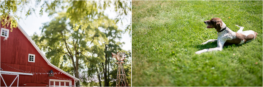Dulls-Tree-Farm-Wedding-Photography-Indiana-Anna-Dan-02 fun, creative, pre-wedding ceremony details at Dull's Tree Farm in Thornton, Indiana