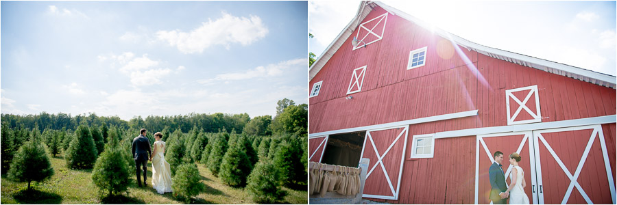 Dulls-Tree-Farm-Wedding-Photography-Indiana-Anna-Dan-07 fun, dramatic, landscape, wedding portraits with barn and tree farm