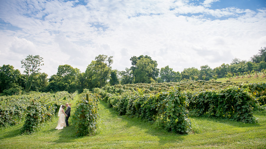 Bluemont-Vineyard-Wedding-Photography-Katie-Doug-05 romantic and dramatic first look at Bluemont Vineyard wedding in Virginia