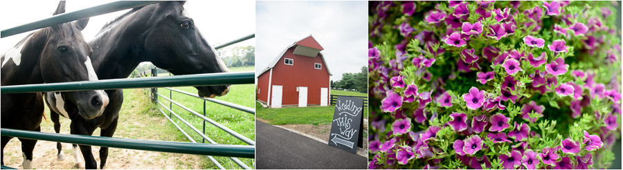 Lovely Sycamore Farm Wedding in Bloomington by TALL+small Photo.